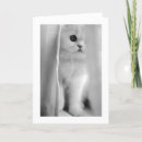 Suche nach aussage karten Liebe