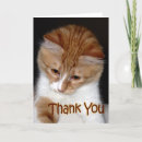 Suche nach orange miezekatze karten Danke