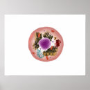 Suche nach tierzelle poster Medizin