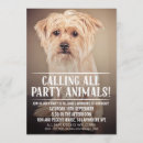Suche nach hundeparty einladungen Dogs