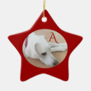 Suche nach hund ornamente Foto hinzufügen