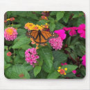 Suche nach rosa schmetterlinge mousepads Gelb