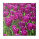 Suche nach lila felder fliesen Blume