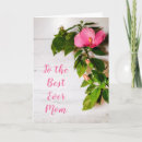 Suche nach hibiskus karten Botanisch