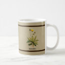 Suche nach vintage botanik tassen Flora
