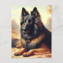 Suche nach tervuren Welpe