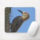 Suche nach spechte mousepads Naturfotografie