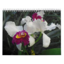 Suche nach orchidee kalender Natur