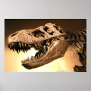 Suche nach dinosaur poster Tyrannosaurus