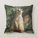 Suche nach mungo Meerkat