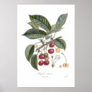 Suche nach gartenarbeit poster Obst