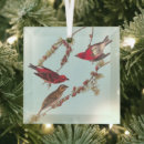 Suche nach rote vögel ornamente Vogelkunst