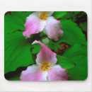 Suche nach christopher mousepads Danita separont