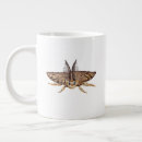 Suche nach zoologisch Entomologie