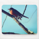 Suche nach rotkehlchen mousepads Schnee