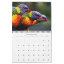 Suche nach vogel kalender papagei