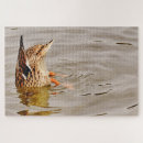 Suche nach duck puzzle Stockente