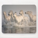 Suche nach pferde mousepads Wildpferd