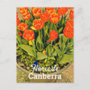 Suche nach canberra postkarten Blume