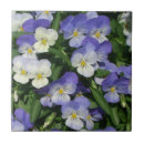 Suche nach stiefmütterchen fliesen Natur