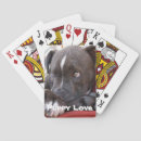 Suche nach pitbull spielkarten Hund