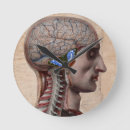 Suche nach anatomie wanduhren Doktor