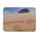 Suche nach heu magnete Landschaft