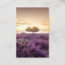 Suche nach sonnenaufgang visitenkarten Baum