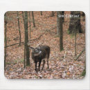 Suche nach whitetail elektronik zubehör Rotwild