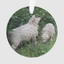 Suche nach niedliche schafe ornamente Tiere