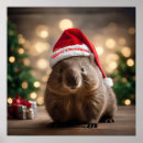 Suche nach wombats poster Tierwelt