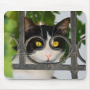 Suche nach schauspiel mousepads Lustig