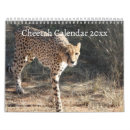 Suche nach gepard kalender Wildkatze