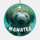 Suche nach seekuh ornamente Manatis