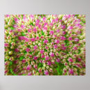 Suche nach sedum Floral