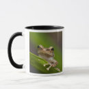 Suche nach coqui tassen Frosch