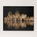 Suche nach katzenartig puzzle Afrika