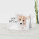 Suche nach welsh karten Corgi