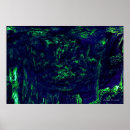 Suche nach tiefsee poster Ozean