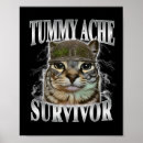 Suche nach lustiges lied poster Katze