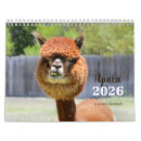 Suche nach lustige tiere kalender Neujahr