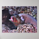 Suche nach reinigung poster Natur
