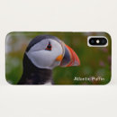 Suche nach atlantisch iphone hüllen Puffin