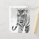 Suche nach niedliche tiger postkarten Tier