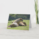 Suche nach capybara karten Glücklich