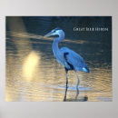 Suche nach reiher poster Wildtiere