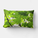 Suche nach regentropfen kissen Fotografie