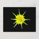 Suche nach würmer postkarten Blume