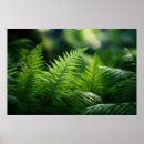 Suche nach farne poster Nahaufnahme