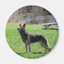 Suche nach deutsche magnete Gsd